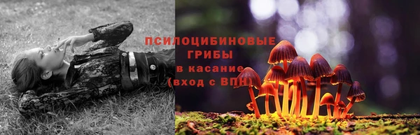 spice Алексеевка